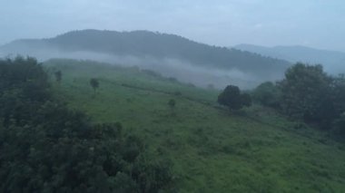 Chiang Rai güzel dağ alanları peyzaj Sisli sabah, Tayland sırasında hava dron görünümü