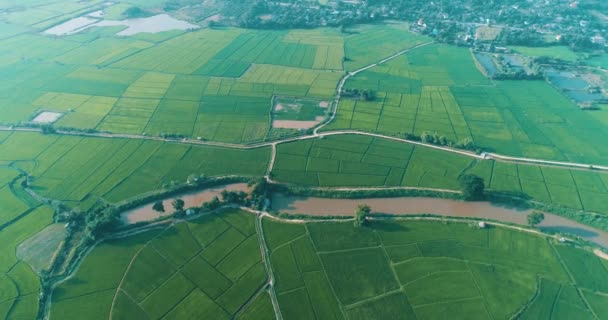 Vue aérienne de beaux champs avec rivière dans la région de Chiang Rai pendant la journée ensoleillée, Thaïlande 