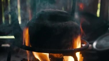 Piyasada kafeslerde tavukların portre. Tarıma dayalı işletme kavramı