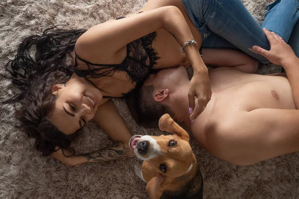 愉快的已婚和怀孕夫妇的肖像与狗花时间在一起在家里 未来爸爸亲吻肚子的他怀孕的妻子 — 图库照片