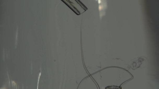 Närbild Flytande Droppe Från Laboratoriet Pipett Till Vattnet Över Vit — Stockvideo