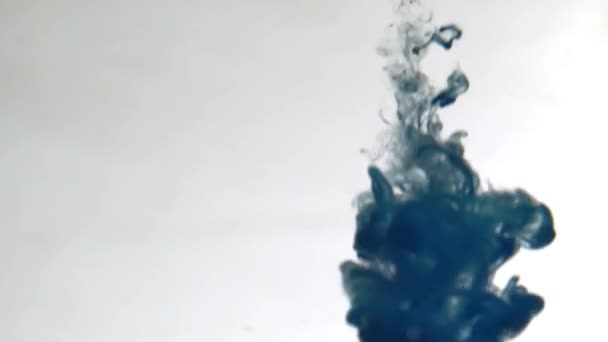 Крупный План Капель Жидкости Лабораторной Пипетки Воде Белом Фоне — стоковое видео