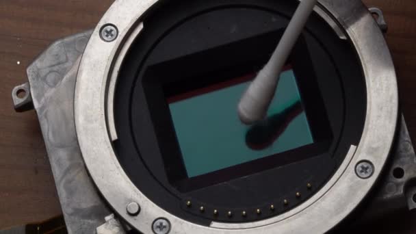 Макро Крупним Планом Датчик Очищення Камери Ватним Майданчиком Відео Повільному — стокове відео
