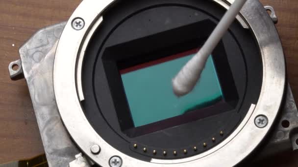 Makro Detailní Čištění Snímače Fotoaparátu Tamponem Video Pomalém Pohybu — Stock video
