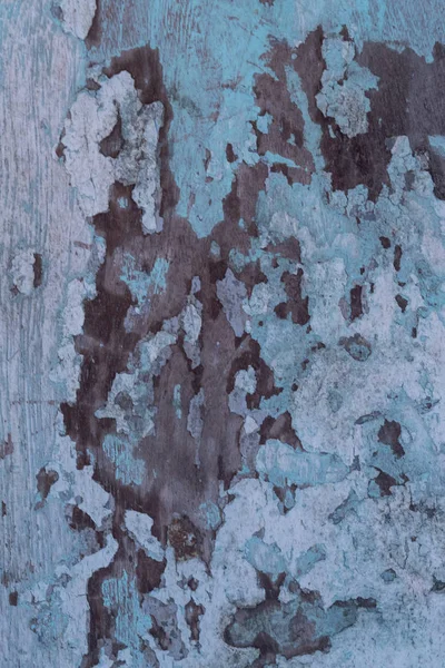 Vintage Wood Background Peeling Paint — Stock Photo, Image