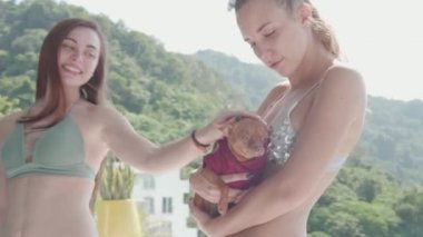 Genç güzel bikini açık havuz - ağır çekimde video sevimli küçük köpek ile rahatlatıcı kadınlar