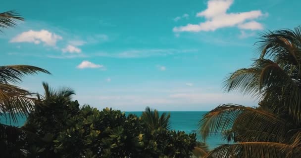 Vliegen Tropische Bomen Zandstrand Prachtige Lagune Zeewater Tijdens Zomerdag Zomer — Stockvideo