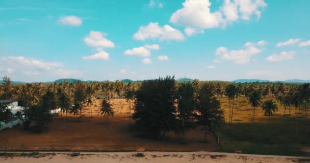 Letecký Bezpilotní Pohled Krásný Tropický Ostrov Písečnou Pláží Zelenými Horami — Stock video