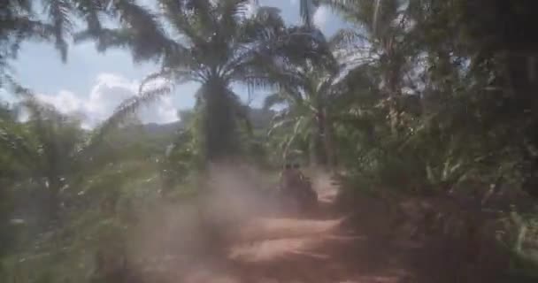 Conducir Detrás Quad Bike Conductores Atv Través Selva Tropical Durante — Vídeos de Stock