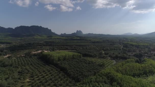 Drohnenblick Auf Wunderschöne Tropische Inseln Mit Blauem Himmel Und Palmen — Stockvideo