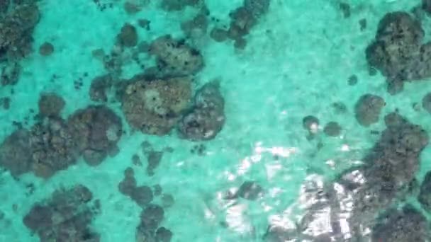Aerial Drone Topputsikt Över Den Kristallklara Lagunen Havet Vattenytan Med — Stockvideo
