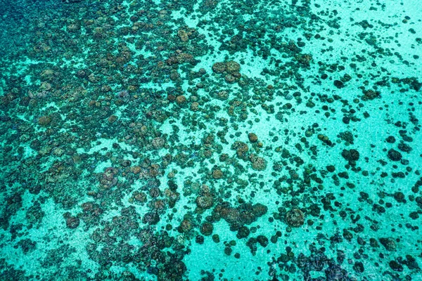 Vista Aérea Superficie Cristalina Del Agua Mar Laguna Con Arrecife — Foto de Stock