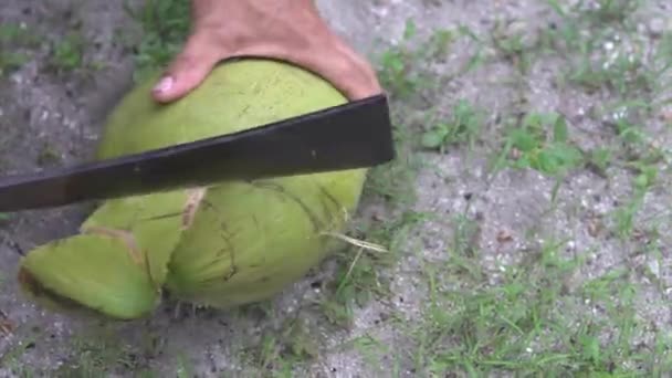 Close Mann Hände Die Kokosnuss Auf Dem Boden Schneiden Thailand — Stockvideo