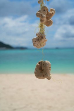 Bulanık kumlu plaj, lagün deniz ve mavi gökyüzü arka plan üzerinde asılı mercan. Tropikal tatil, tatil, seyahat konsepti