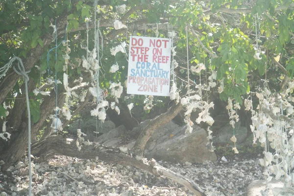 不要踩在礁石上 警告标志上利佩岛热带诗兰在泰国 — 图库照片
