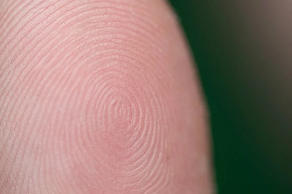 Closeup Man Fingerprint Texture Skin Macro Photgraphy — Stock Photo, Image