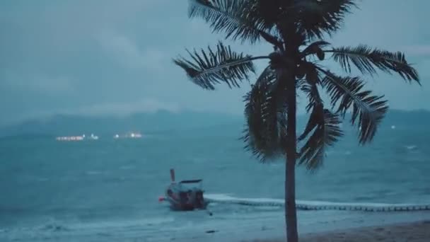 Kokospalme Wind Und Boot Meer Vor Dunklem Wolkenverhangenem Himmel Filmisch — Stockvideo