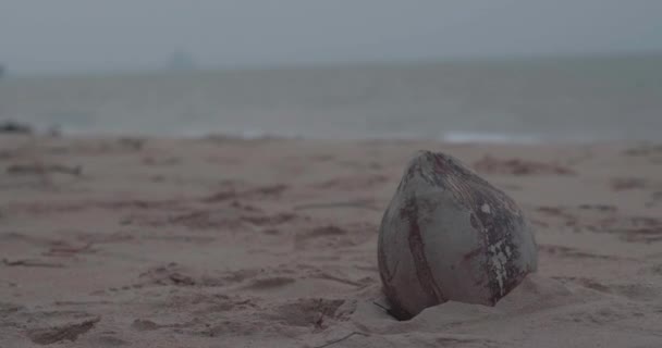 Närbild Kokos Sanden Över Molnigt Himmel Och Hav Bakgrund — Stockvideo