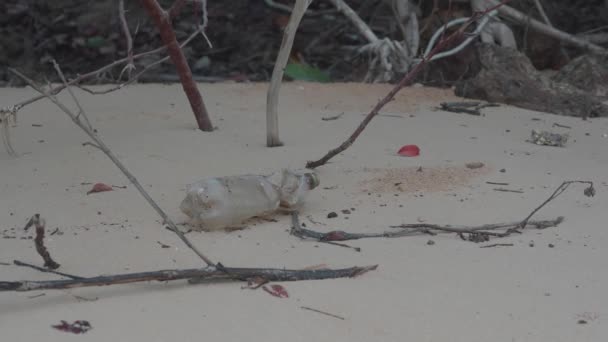 Пластикова Пляшка Піщаному Пляжі Проблема Екологічного Забруднення — стокове відео