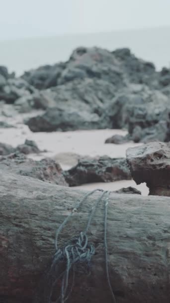 在沙滩上与岩石缠绕在绳索中的原木的垂直视图特写 — 图库视频影像