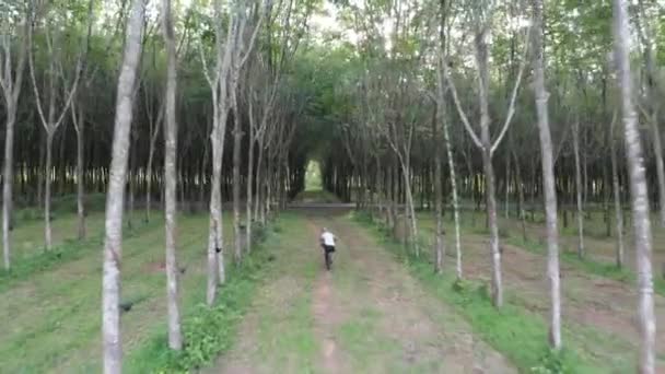 Drone Vista Del Hombre Bicicleta Eléctrica Bosque Mujer Atractiva Montando — Vídeo de stock