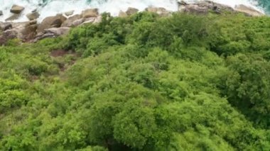 Yeşillik ile okyanus güzel dalgalar ve kayalık sahil havadan drone görünümü