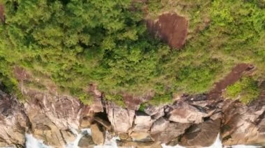 Yeşillik ile okyanus güzel dalgalar ve kayalık sahil havadan drone görünümü