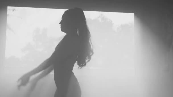 窓のビューの背景の上に曇ったスタジオで踊るボディスーツで美しい官能的な女性のシルエット 黒と白のビデオ — ストック動画