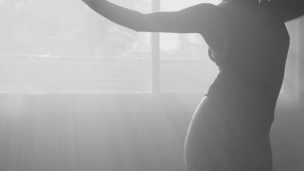 Силуэт Красивой Чувственной Женщины Костюме Тела Танцующей Туманной Студии Фоне — стоковое видео