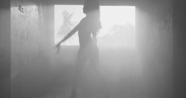 美丽的性感女人在身体西装跳舞在朦胧的工作室里与棕榈树背景的窗景剪影 黑白视频 — 图库视频影像