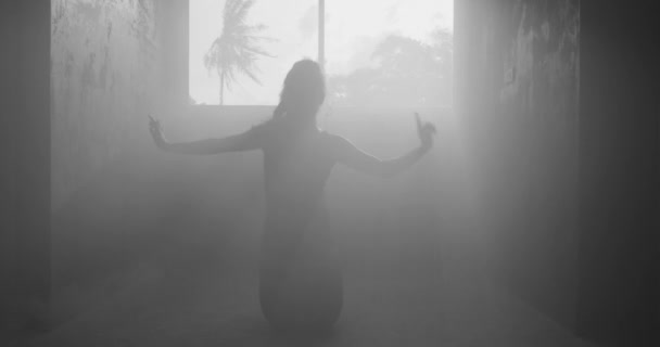 ヤシの木の背景と窓の上の窓の上に曇ったスタジオで踊るボディスーツで美しい官能的な女性のシルエット 黒と白のビデオ — ストック動画
