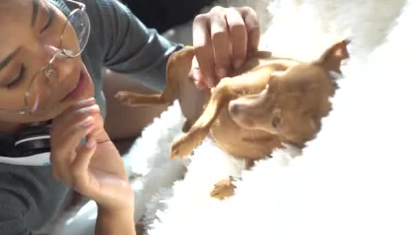 美丽的微笑的女孩与耳机放松与她的狗在床上在家里 舒适的生活方式和休闲理念 — 图库视频影像
