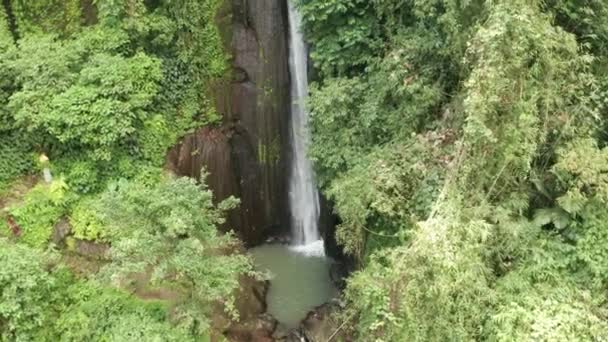 Légi Drone Kilátás Gyönyörű Vízesés Zöld Trópusi Esőerdők Bali Indonézia — Stock videók