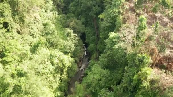 Vista Aérea Drone Rio Cachoeira Floresta Tropical Verde Bali Indonésia — Vídeo de Stock