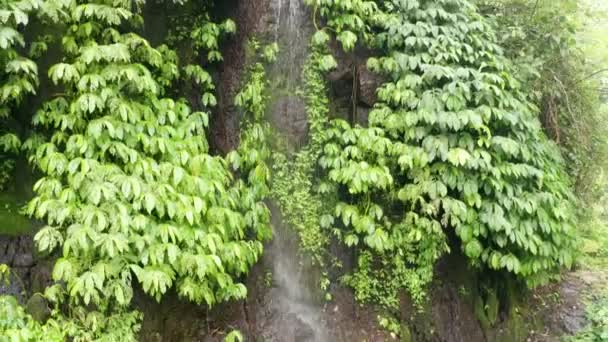 Drohne Steigt Auf Blick Auf Kleinen Wasserfall Grünen Tropischen Regenwald — Stockvideo