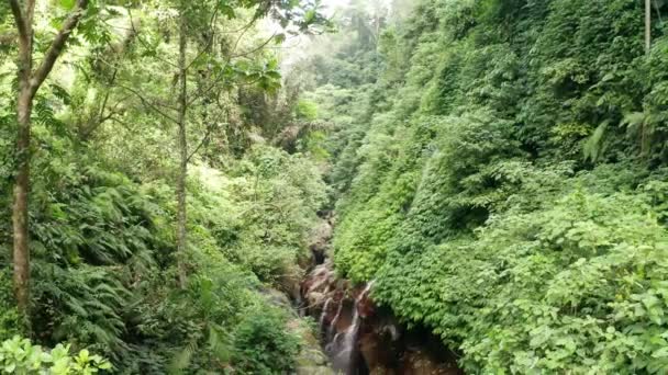 Aerial Drone View Beautiful Green Tropical Rain Forest Waterfalls Long — Stock Video