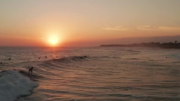 Luchtfoto Drone Bekijken Silhouetten Van Surfen Mensen Prachtige Gouden Zonsondergang — Stockvideo