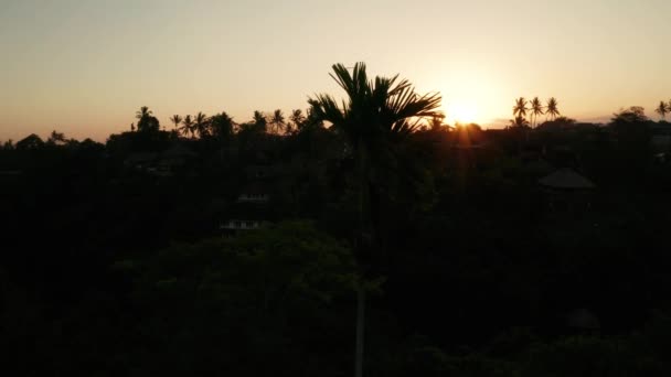 Vista Aérea Drones Del Cielo Dorado Del Atardecer Sobre Isla — Vídeos de Stock