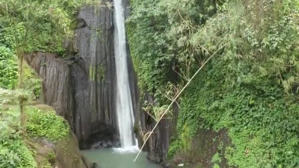 Bali Yeşil Tropikal Yağmur Ormanlarında Güzel Şelale Havadan Drone Görünümü — Stok video