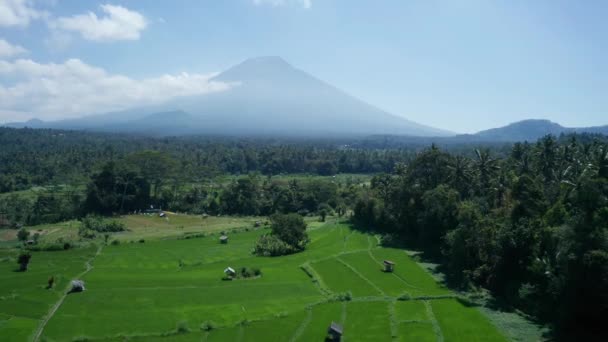 Drohnenaufnahme Des Vulkans Und Schöne Felder Landschaft Während Sonnigem Sommertag — Stockvideo