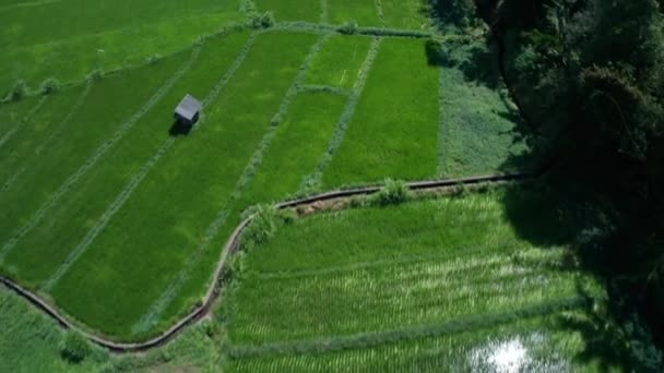 Vista Aérea Drone Vulcão Paisagem Bonita Dos Campos Durante Dia — Vídeo de Stock