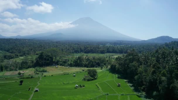 Vue Aérienne Par Drone Volcan Des Beaux Paysages Champs Pendant — Video