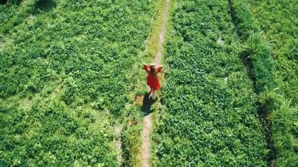 Εναέρια Κηφήνας Top Θέα Της Γυναίκας Κόκκινο Φόρεμα Περπάτημα Κατά — Αρχείο Βίντεο