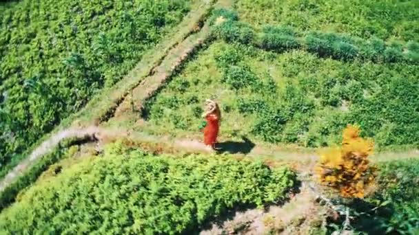 在印度尼西亚巴厘岛阳光明媚的夏日 身着红色礼服的妇女沿着绿色田野行走的空中无人机视图 — 图库视频影像