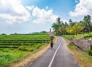 Endonezyalı yaşlı kadının geri görünümü kafasına hindistan cevizi sepeti taşıyan, yalınayak güzel tropikal köyün yolunda yürürken
