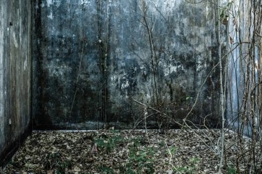 Kurutulmuş yaprakları arka plan ile terk edilmiş binanın eski beton duvarlar