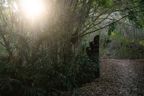 Magico Vecchio Cancello Giardino Segreto — Foto Stock