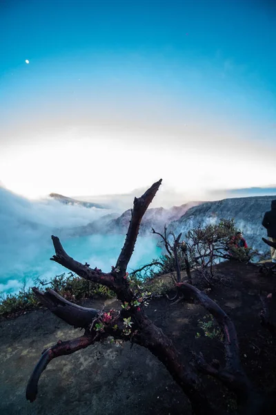 Árboles Muertos Volcán Ijen Con Lago Ácido Java Indonesia —  Fotos de Stock