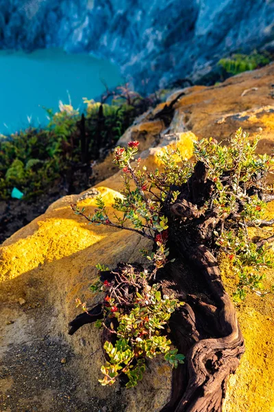 Veduta Aerea Del Bellissimo Vulcano Ijen Con Lago Acido Gas — Foto Stock