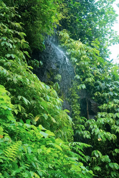 Prachtige Waterval Groene Tropische Regenwoud Bali Indonesië — Stockfoto